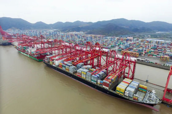 International Ocean Freight Forwarder จีนไปออสเตรเลีย