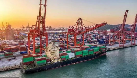 20GP International Ocean Freight Forwarder ประเทศจีนสู่ทะเลดำ