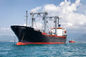 NVOCC คลังสินค้าและโลจิสติกส์การขนส่งในท่าเรือเซี่ยงไฮ้
