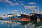 China Ports International Ocean Freight Forwarder จากจีนไปจอร์แดน