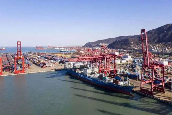 จีนไปยังรัสเซีย LCL Sea Shipment บริการที่รวดเร็วสำหรับซัพพลายเชน
