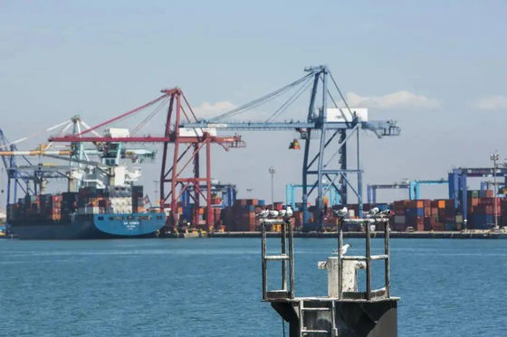 Shanghai Ningbo Tianjin Warehousing บริการกระจายสินค้า บริการจัดเก็บคลังสินค้า