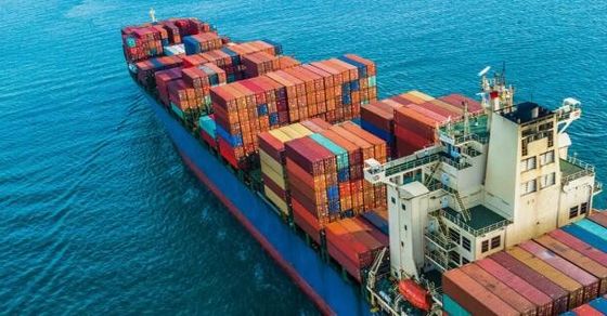 FCL International Ocean Cargo Forwarder เซินเจิ้นไปยังการาจี