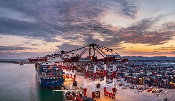 คุณภาพ Sea Freight Forwarder International Ocean Freight Forwarder จากจีนไปเวียดนาม โรงงาน