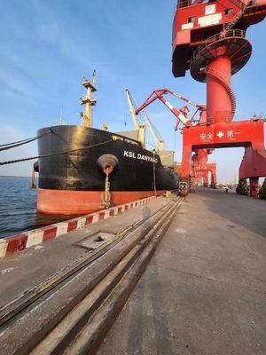 คุณภาพ FOB International Ocean Freight Forwarder Lianyungang Xingang ไปสิงคโปร์ โรงงาน